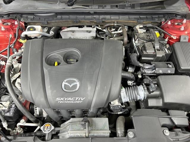 20384458_carP_l_16.jpg