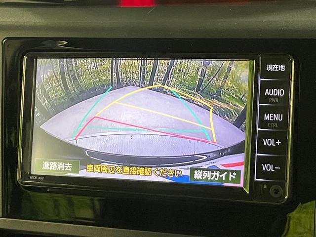20502742_carP_l_4.jpg