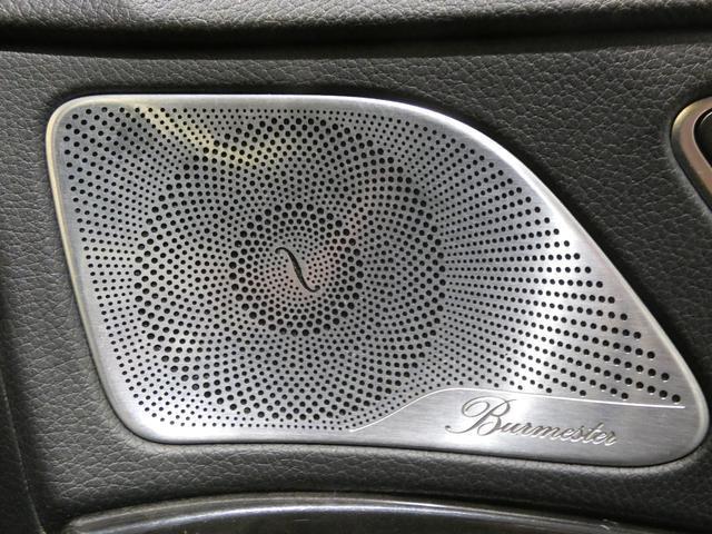23301042_carP_l_11.jpg