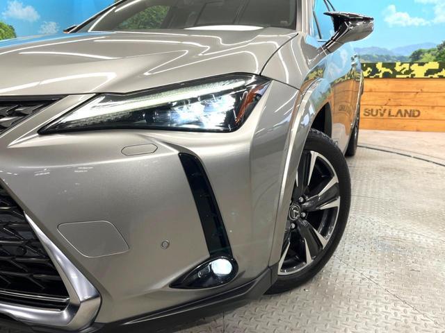 21149251_carP_l_6.jpg