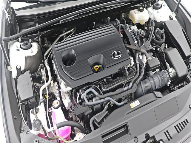 57a1994fef04497720e3067baadc8484.jpeg