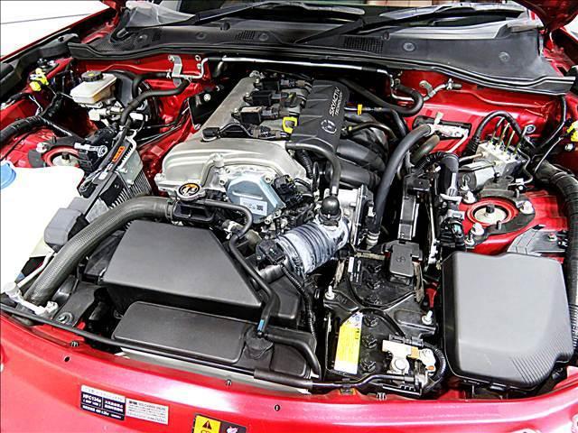19799238_carP_l_20.jpg