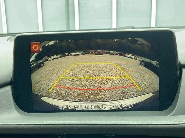 18097088_carP_l_12.jpg