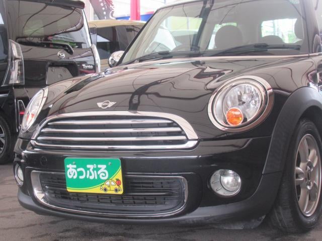 15974419_carP_l_10.jpg