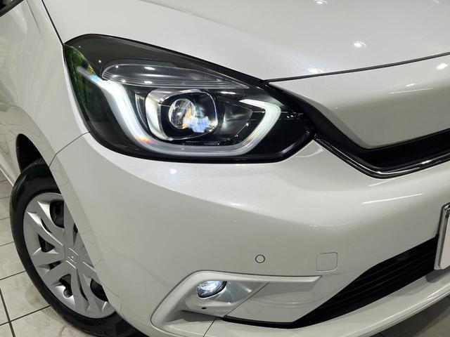 23112213_carP_l_6.jpg