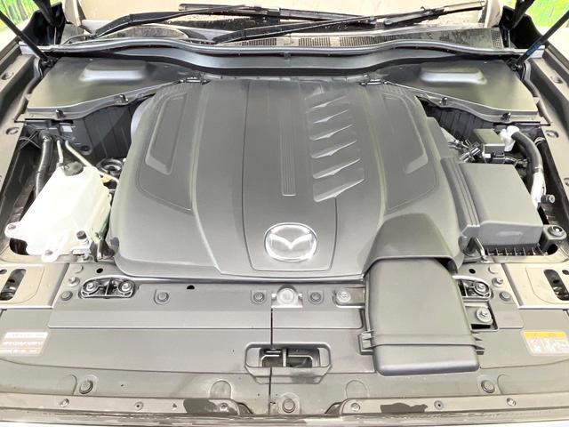 21254088_carP_l_16.jpg