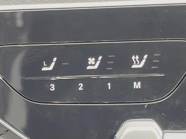 22039398_carP_l_19.jpg