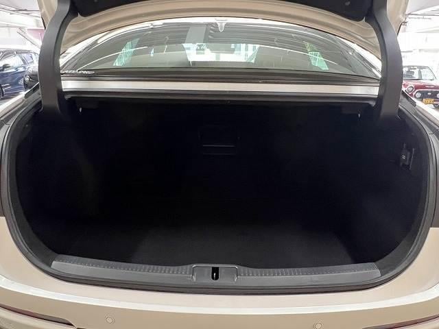 20828327_carP_l_20.jpg