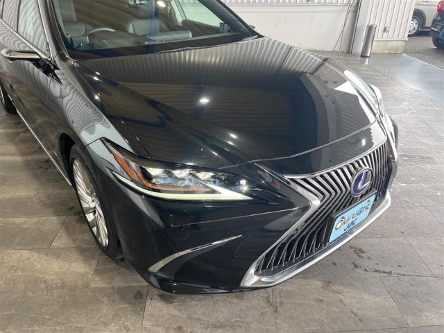 b794833e21a5dce31a6057a4950922ed.jpg