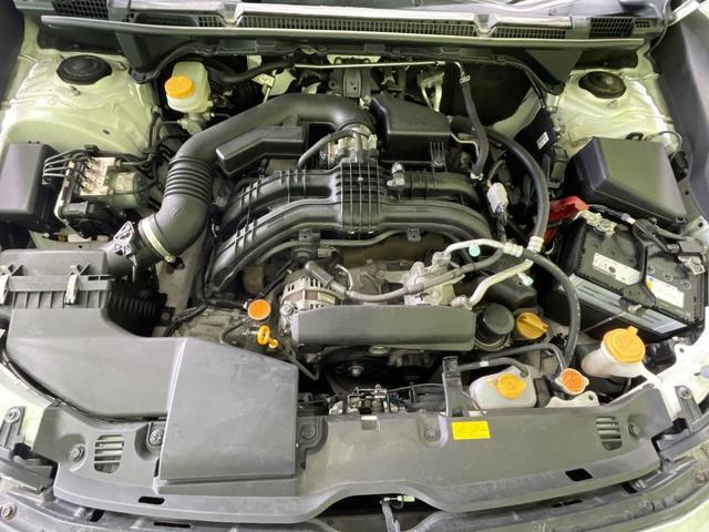 23054986_carP_l_16.jpg