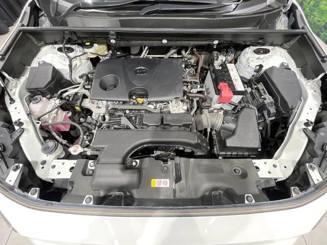 22205482_carP_l_18.jpg