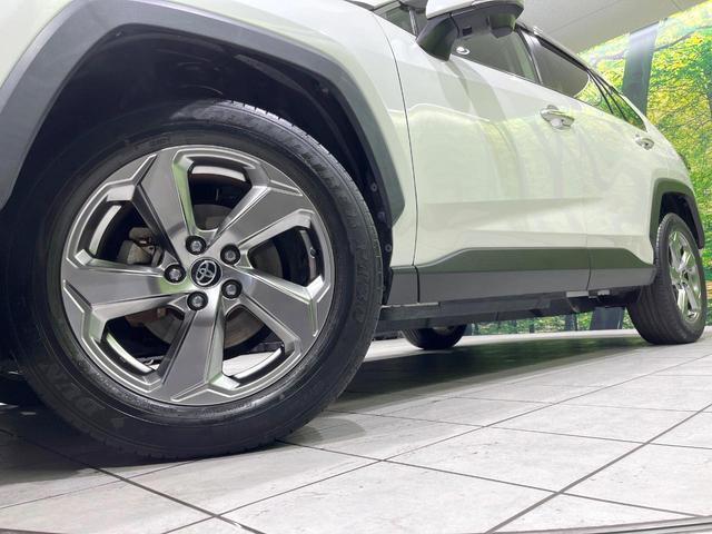 22205482_carP_l_8.jpg