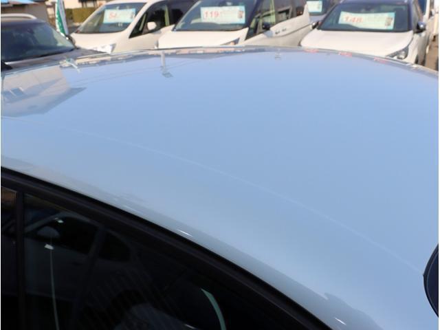 21709559_carP_l_6.jpg