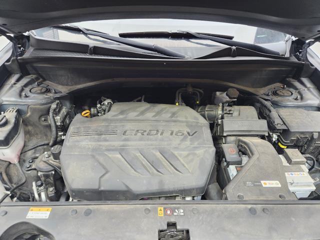 lotterental_163335242_SK0p0_2.jpg
