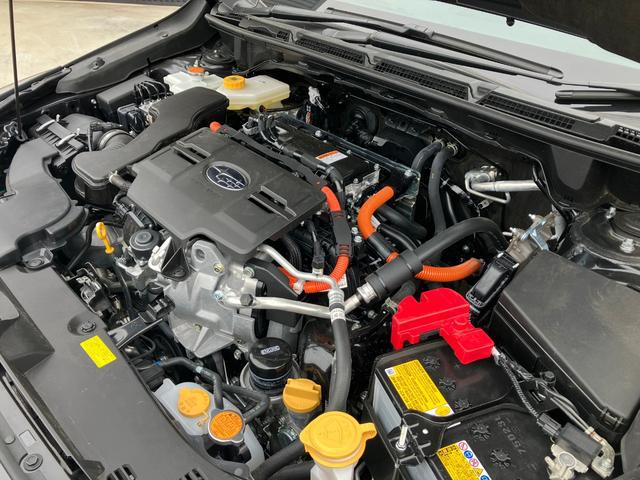 0541598A30260309W00203.jpg