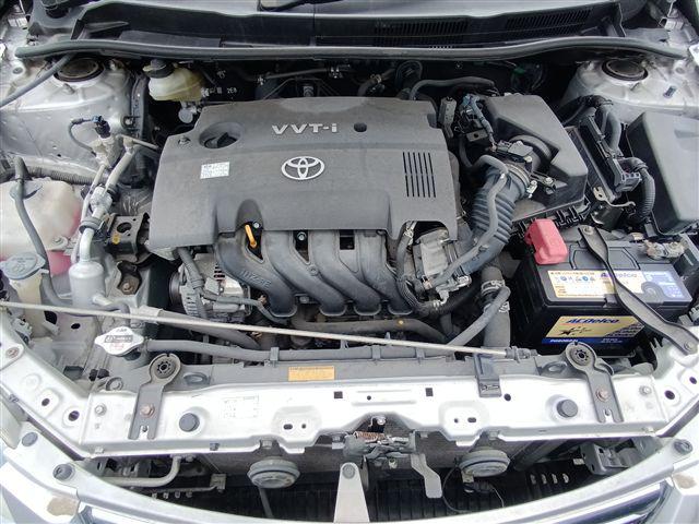 08.jpg
