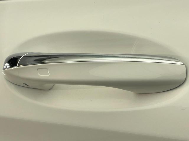 20940054_carP_l_17.jpg