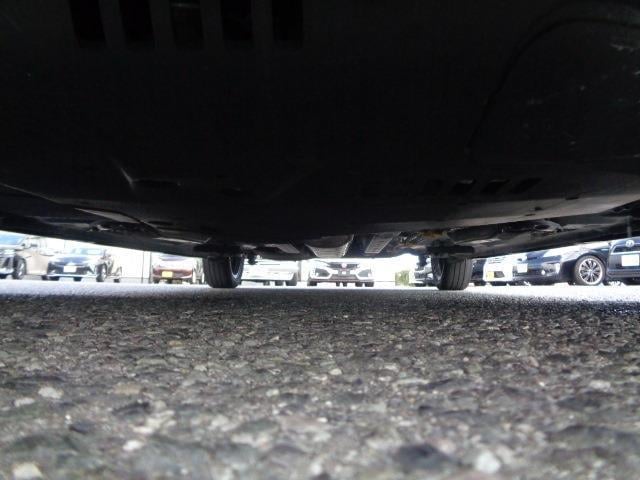 20043966_carP_l_5.jpg