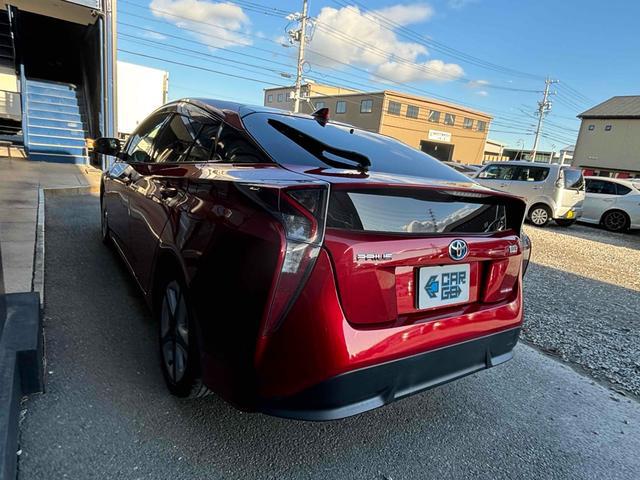 0206696A30250220W00213.jpg