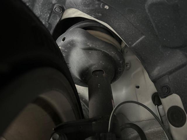 23207119_carP_l_20.jpg