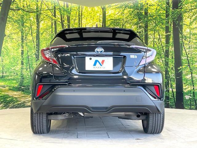 21690490_carP_l_9.jpg