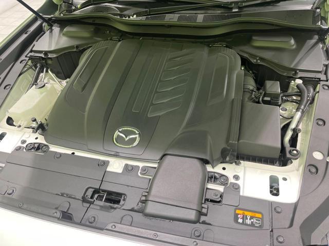22095643_carP_l_18.jpg