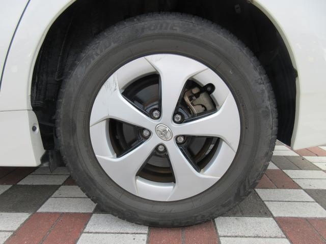 19379650_carP_l_7.jpg