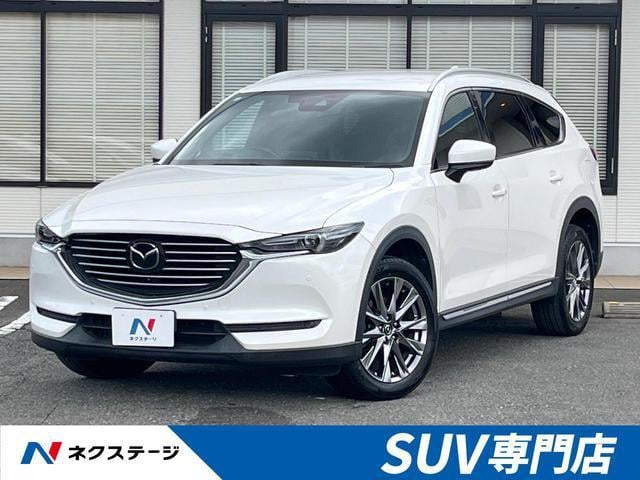 19786030_carP_l_1.jpg