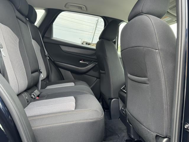 19060348_carP_l_7.jpg