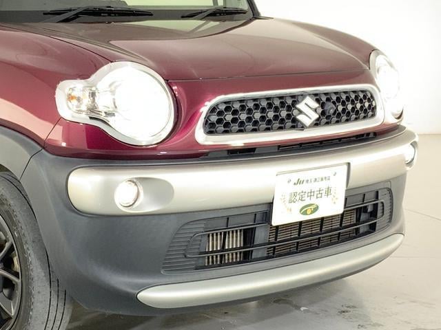 16553821_carP_l_4.jpg