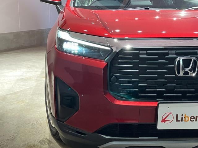 19051788_carP_l_11.jpg