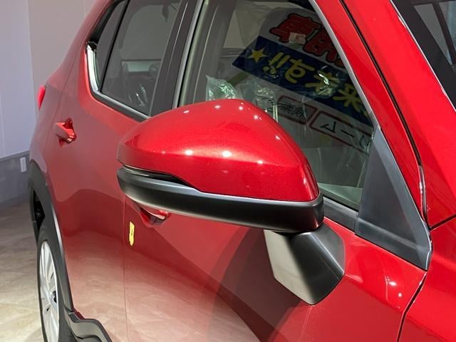 19051788_carP_l_9.jpg