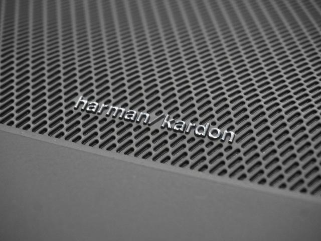 21777118_carP_l_6.jpg