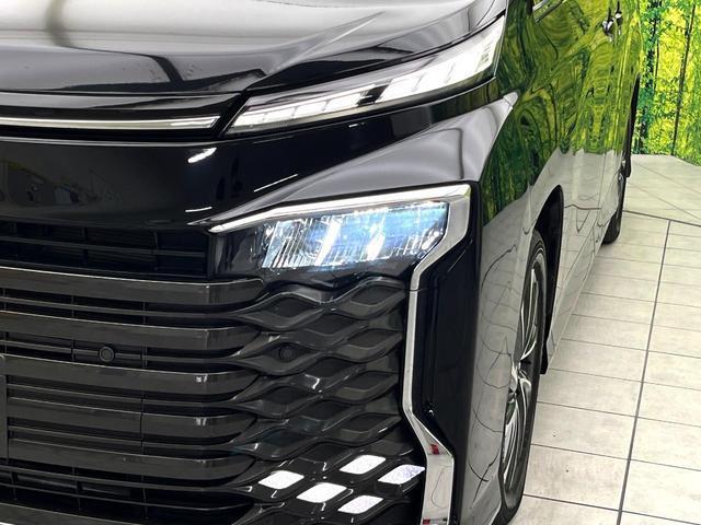 20193427_carP_l_7.jpg
