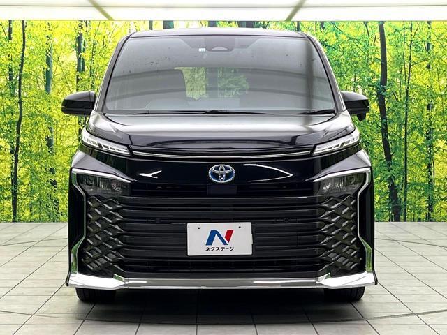20193427_carP_l_9.jpg