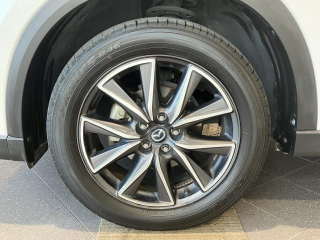 d825e3cc9b796b29e46dc0ae6a5b01e7.jpg