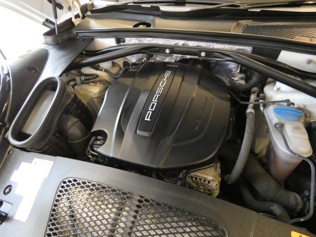 21746687_carP_l_20.jpg