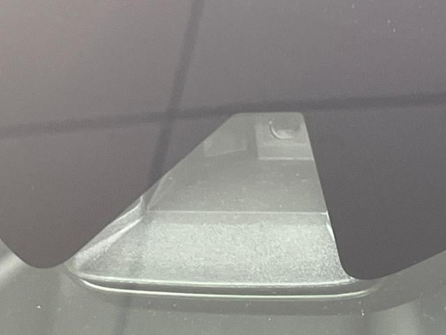 18550505_carP_l_10.jpg