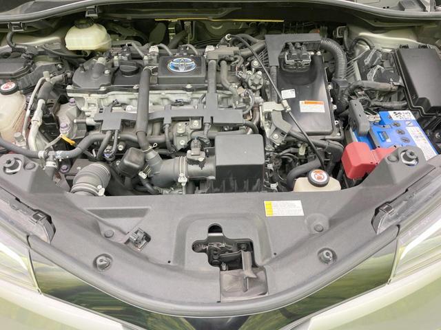21708898_carP_l_16.jpg