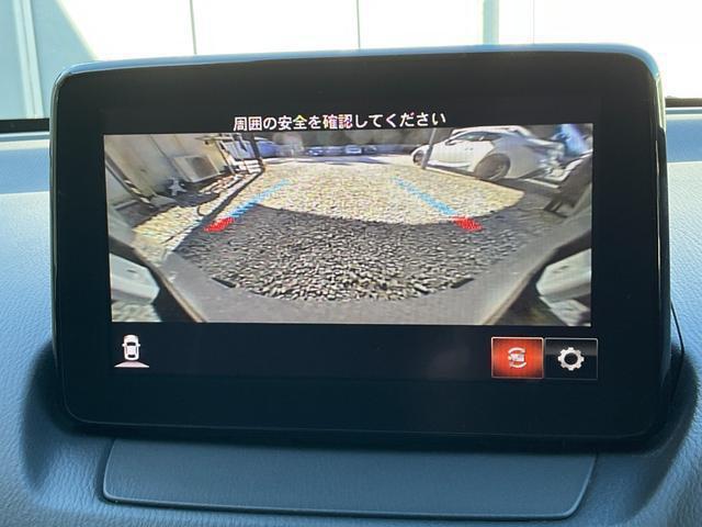 22039012_carP_l_11.jpg