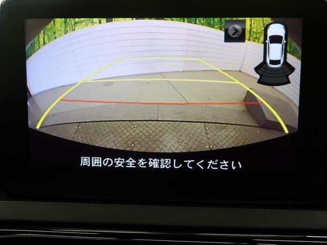 19913494_carP_l_10.jpg