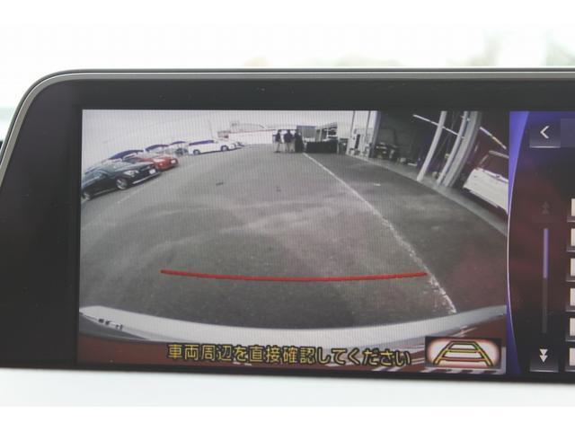22713561_carP_l_10.jpg