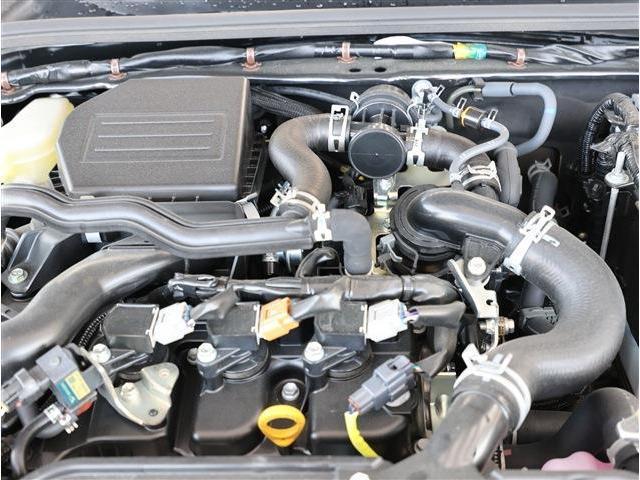 22800396_carP_l_18.jpg