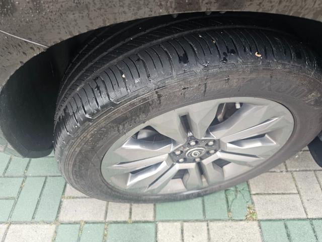ff591f91e6c2adcc568b5cdaf65d938c.jpeg