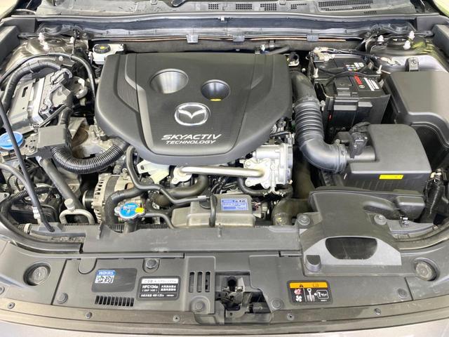 21515229_carP_l_12.jpg