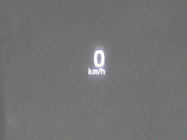 c644c30302347491e6ce51d5993cfb3e.jpeg