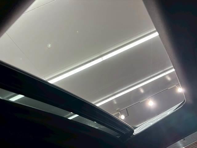 19021451_carP_l_10.jpg