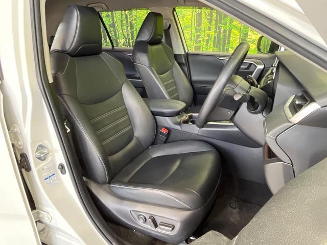 22411669_carP_l_17.jpg