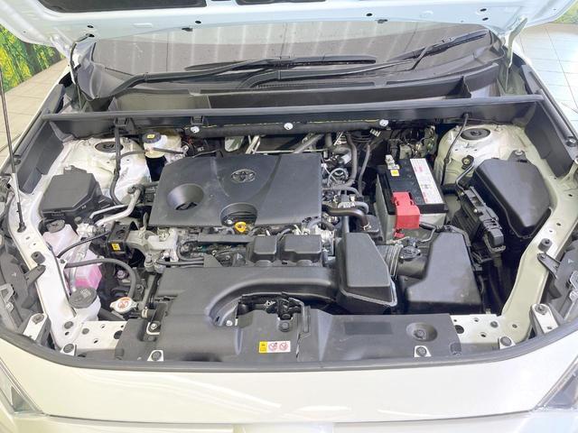 21343485_carP_l_16.jpg