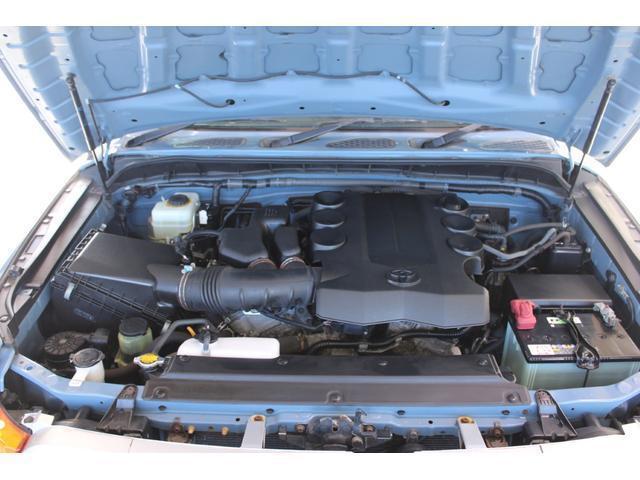 22713886_carP_l_19.jpg